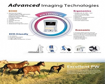 Máy siêu âm Động vật eco3 expert vet