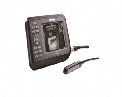 Máy siêu âm thai động vật hand scan v8